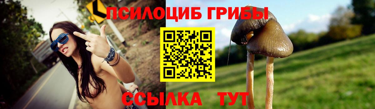 Чистополь  Галлюциногенные грибы Magic Shrooms  Вход с VPN 