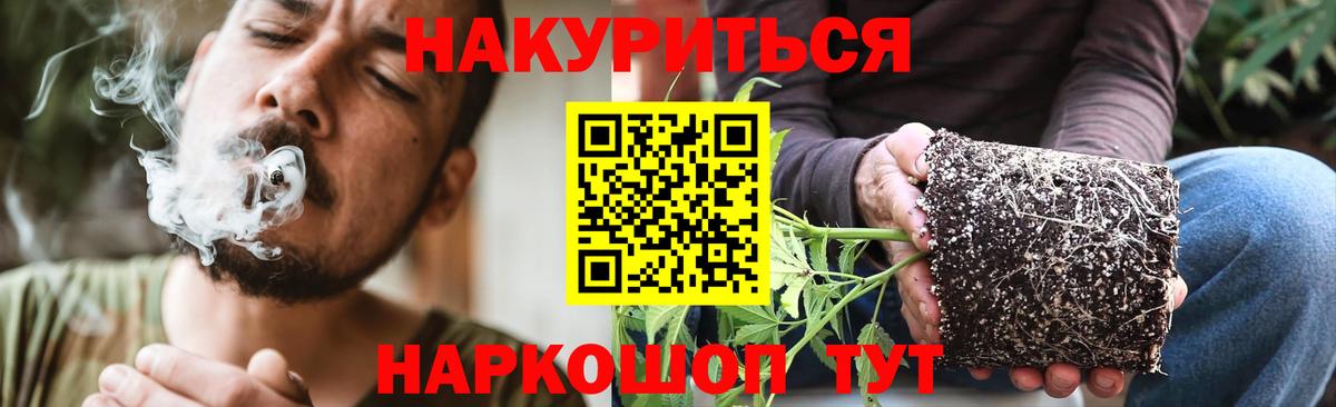 Бошки марихуана планчик Чистополь